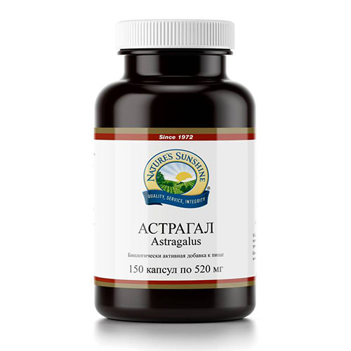 Астрагал